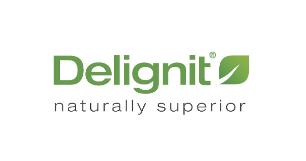 delignit-ag logo